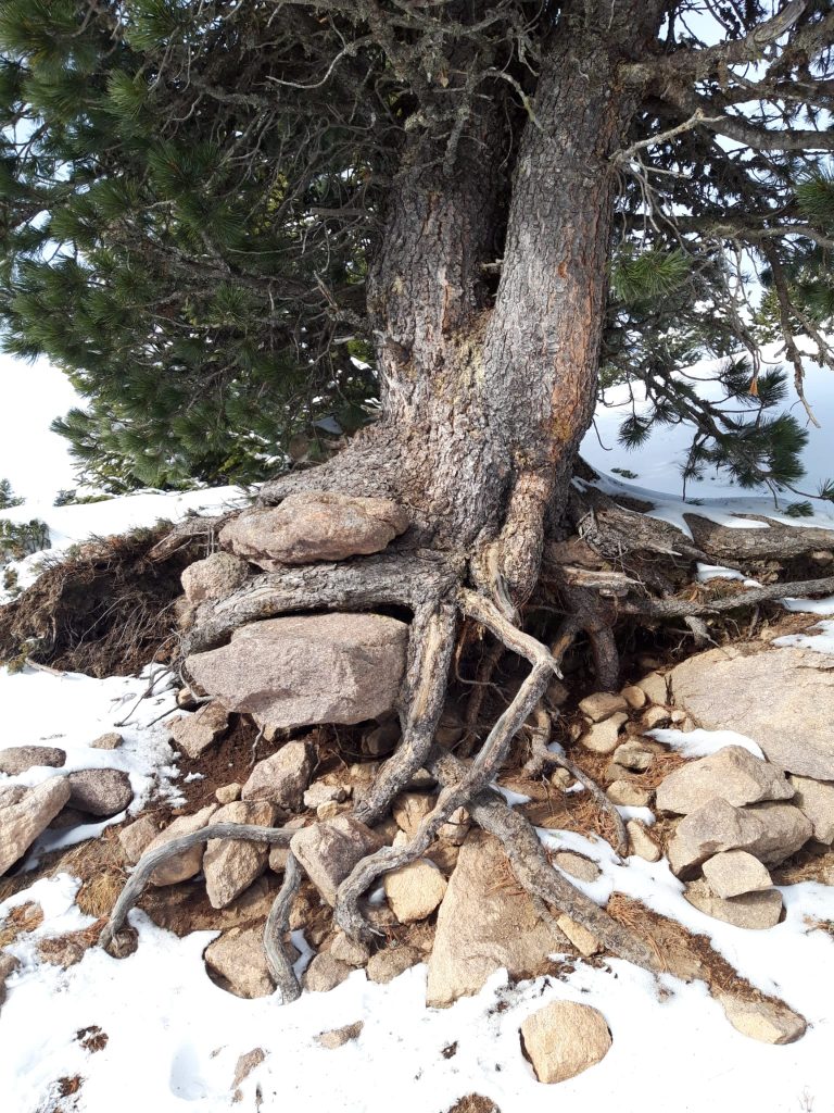 Wortels wintersport 2024